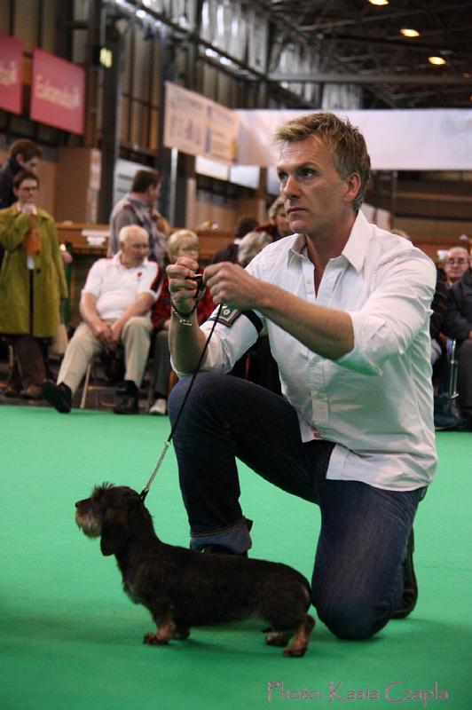 Crufts2011_2 1255.jpg